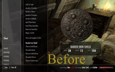 Iron Heavy Shield Before