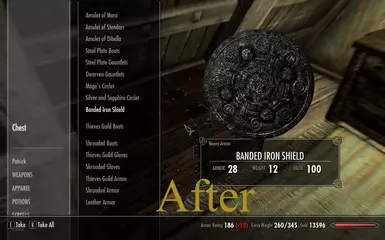 Iron Heavy shield After
