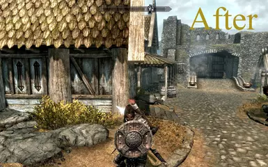 Iron Shield After