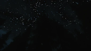 Starry nightsky