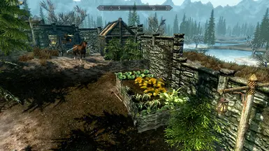 Vegetable garden