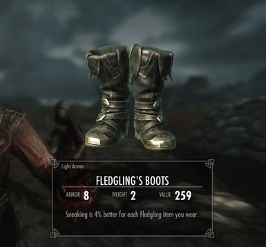 Fledgling's Boots