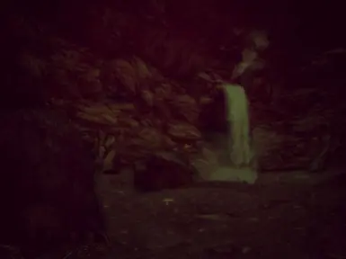 Bear and a waterfall