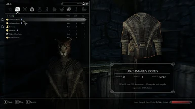 Better Archmage's Robes - Cleaned