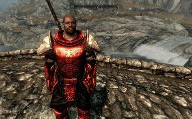 this is how the armor looks like made MichaelNight        the char on this photo is not Captain Dev