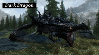 cd dragon 1 4 028