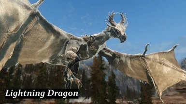 cd dragon 1 4 009