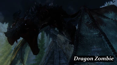 cd dragon 1 4 016