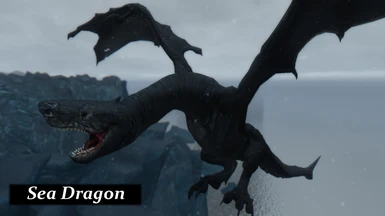 cd dragon 1 4 004