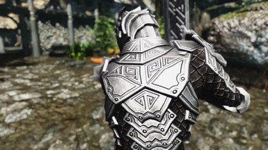 Dragon Carved Armor Set - EPIC 4