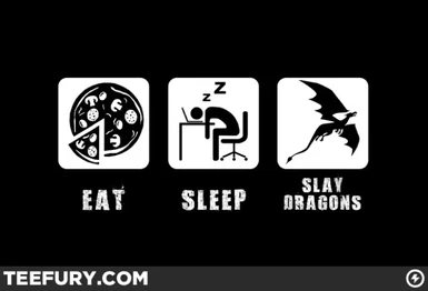 eat sleep slay dragons