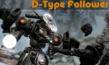 D-TypeFollower