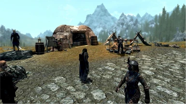 15 Approaching the Khajiit Caravan on the south outskirts of town