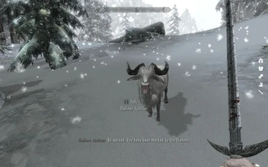 Behold the Thalmor