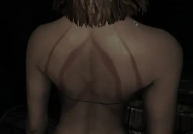 bodyscarspng2
