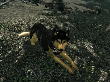 Koda  3 