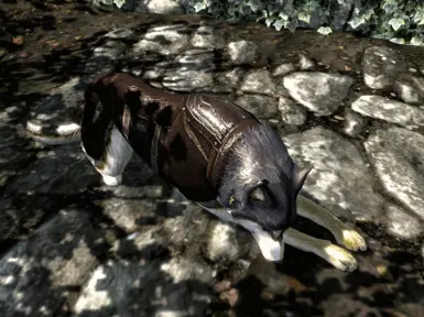 HD Koda  Old 