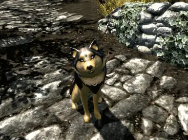 HD Koda  Tan 