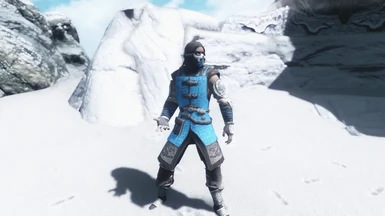 The Cryomancer - Mortal Kombat Sub-Zero Armor