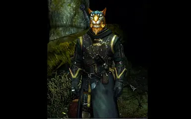 Armor Of Intrigue at Skyrim Nexus - Mods and Community