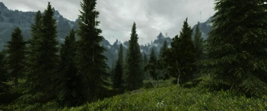 Just west of whiterun Project ENB