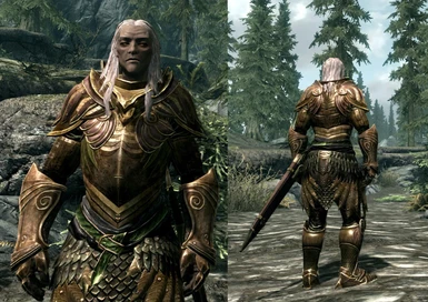 Wood Elf Armor at Skyrim Nexus - mods and community