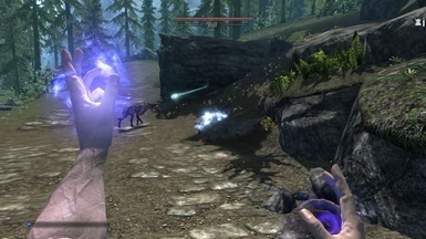 Detecting a wolf corpse while the Wisp distracts another wolf