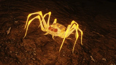 Glowing Spider