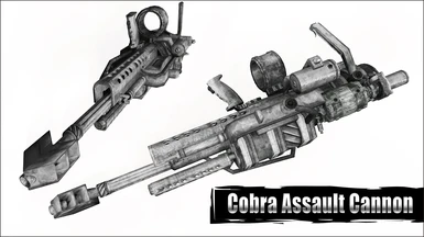 010 Cobra01