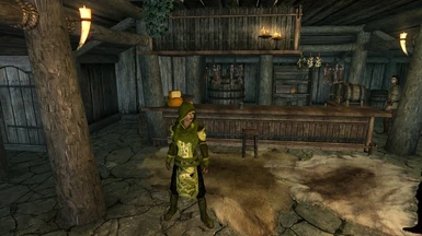 Journeyman Healer Robes   Green