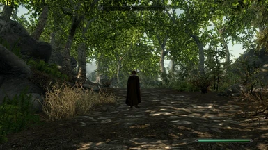 A new look at skyrim's forest