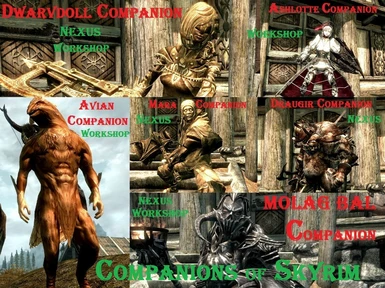 6 Companions 
