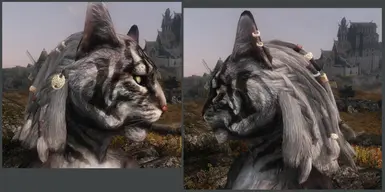 skyrim khajiit hair mod