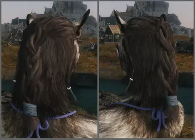 skyrime best hair mod