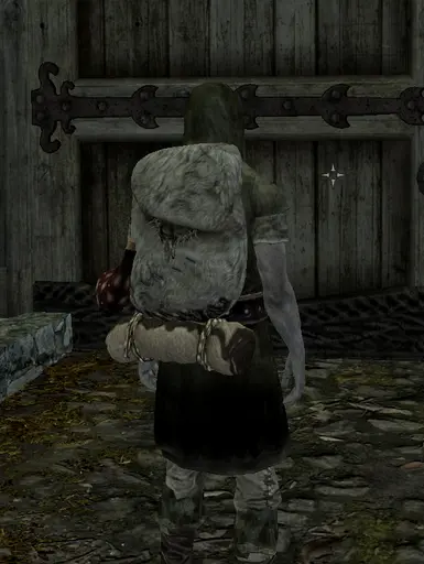 Skyrim wet and cold backpacks insulated