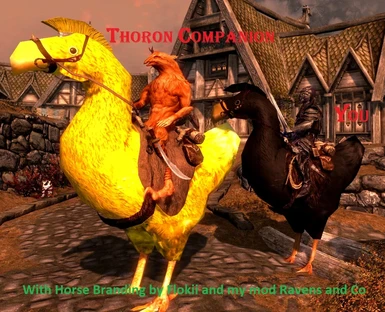 Thoron Companion