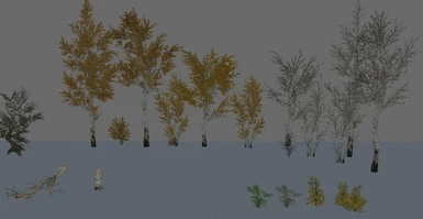 Cuttable Trees - Aspen and shrubs 