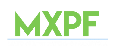 MXPF - Mator's xEdit Patching Framework