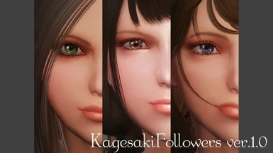 KagesakiFollowers Version 1dot0