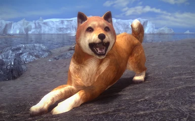 Doge Reborn - Shiba Inu companion