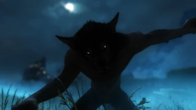 Orig Wolf 3