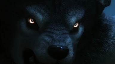 Orig Wolf 1