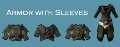 Armor with Sleeves   Small