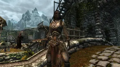 Steel Armor with Sleeves