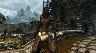 Hide Armor with Sleeves