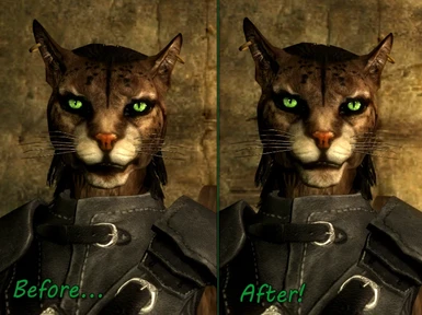 More accurate Khajiit chin and lips paint