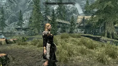 Eowyn - Shield Maiden of Rohan at Skyrim Nexus - Mods and Community