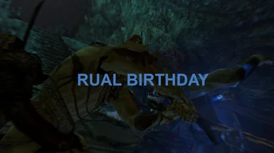 Diable in action - Rual birthday