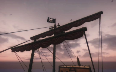 SS pirates banner
