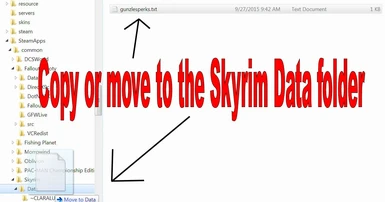 Copy to Skyrim Data folder to install